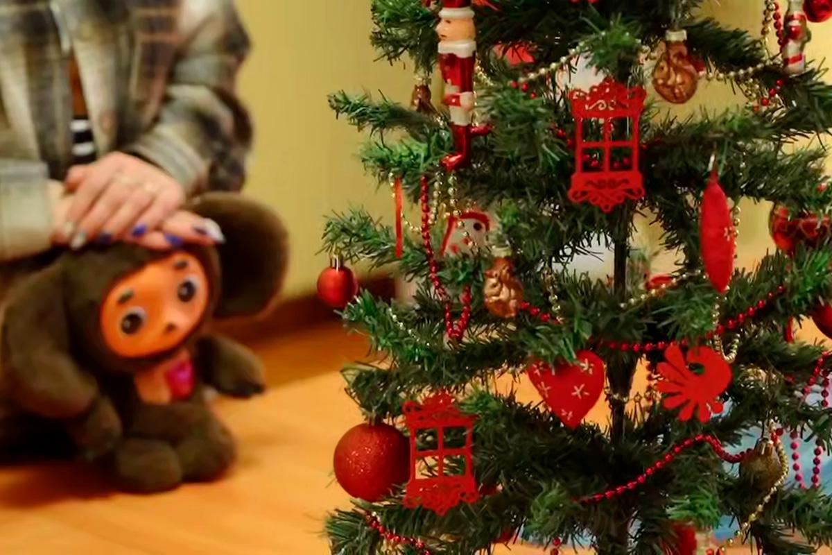 Георгий Филимонов: Вологодские волонтеры и деятели культуры в рамках проекта «Журавли.СВОи35» выпустили песню о единстве фронта и тыла