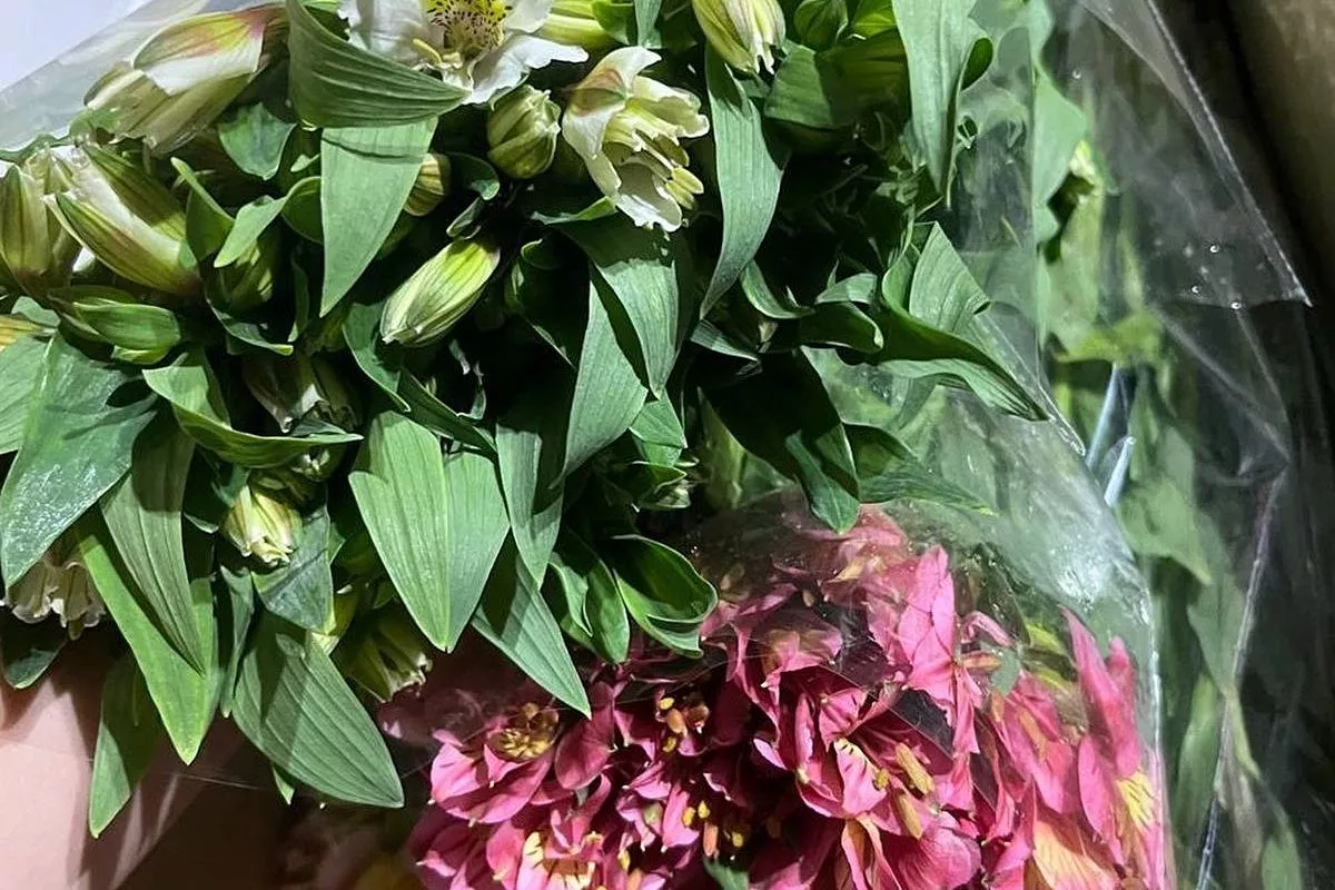 Россельхознадзор выявил заражённые цветы из Армении в сочинском аэропорту