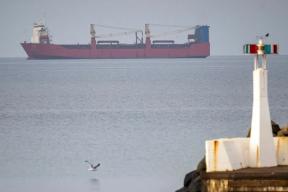 Шведские пограничники задержали российский контейнеровоз