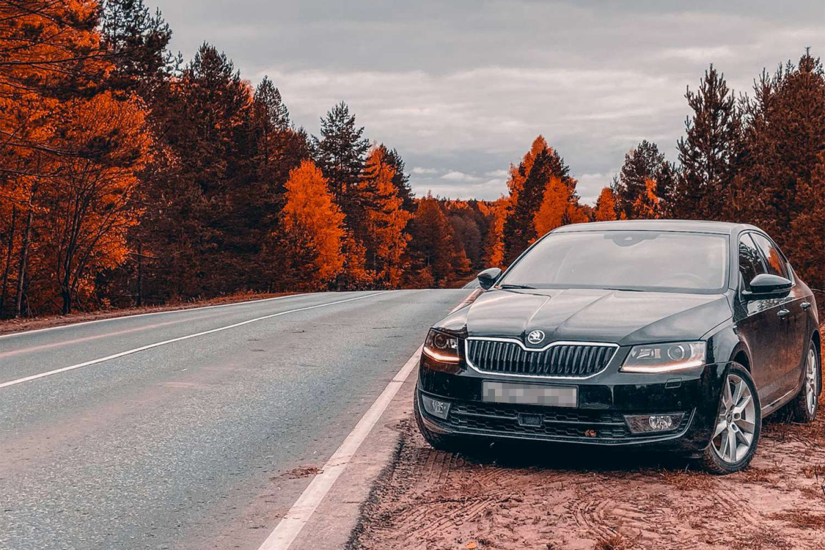 Стали известны авто, чаще всего выбираемые автоподборщиками в РФ