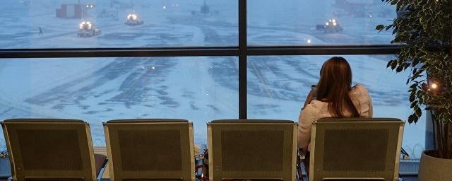 В аэропортах Москвы из-за непогоды отменили около 40 рейсов