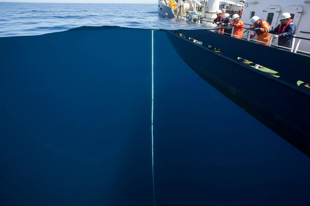 Ученые нашли в Тихом океане ранее неизвестную ветвь жизни