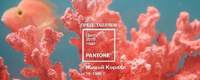 Институт Pantone назвал главный цвет 2019 года