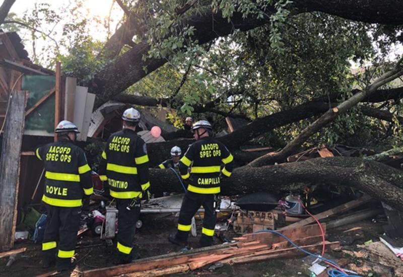 В США 19 человек пострадали при падении дерева на гараж
