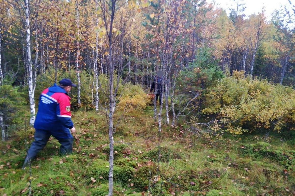 В Ленобласти заблудившегося в лесу шестилетнего ребенка нашли на следующий день