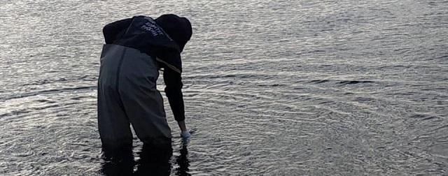 Глава Минприроды: причиной загрязнения моря на Камчатке стал природный фактор