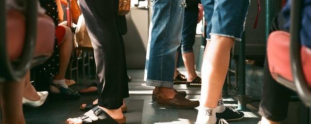 30% маршрутов Белгорода появились в «Яндекс.Транспорт»