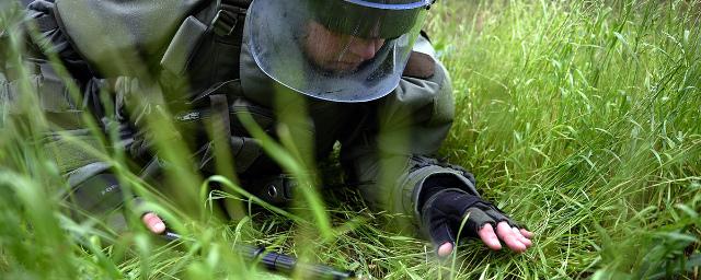 В Иванове во дворе многоэтажки обнаружена боевая граната