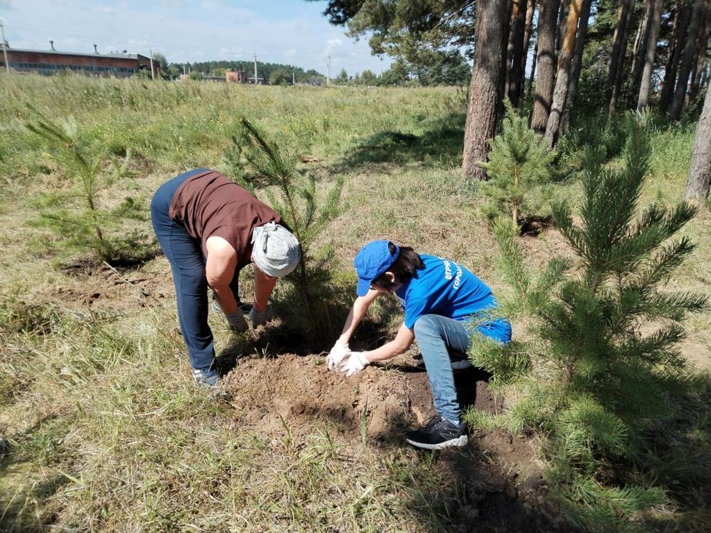 В иркутском поселке Вересовка прошла акция по сбору мусора