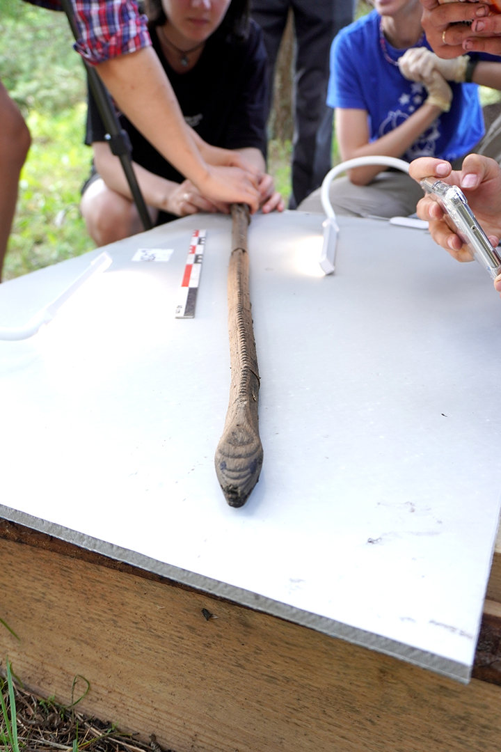 Археологи Эрмитажа обнаружили под Смоленском дротик-змею возрастом 6 тысяч лет