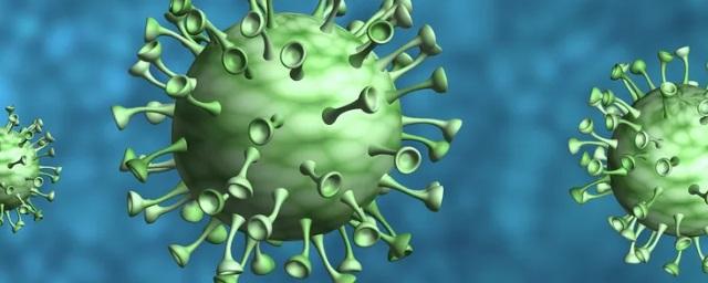 Еще 228 человек заболели коронавирусом в Иркутской области
