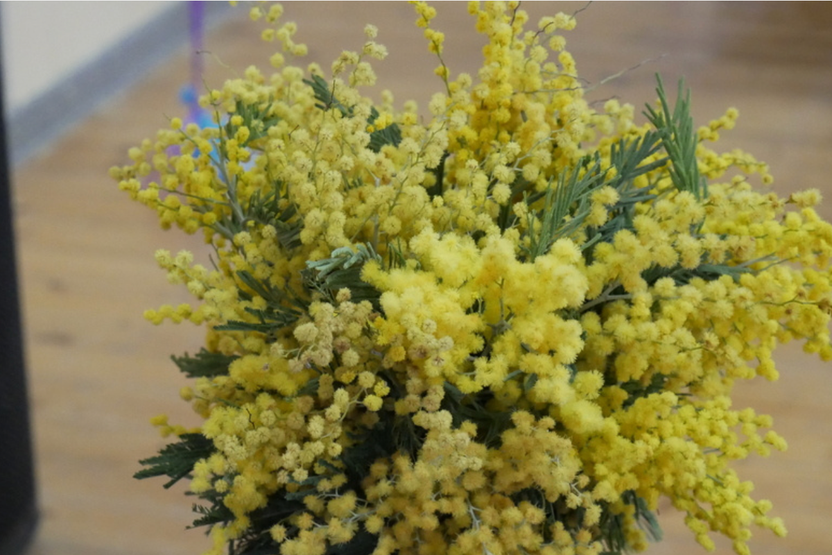 Брянская область празднует День Весны и Труда под народные поздравления