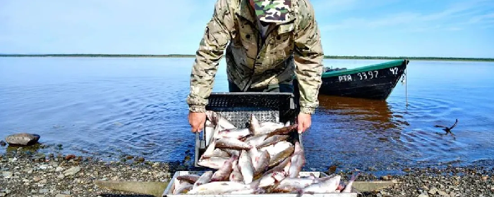 Ученые из Тюмени проверили озера Ямала на пригодность к рыборазведению