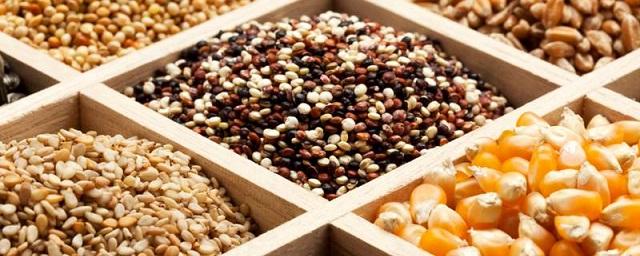 Минсельхоз анонсировал введение квот на поставку семян из недружественных стран