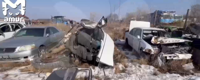 В Хабаровске пьяный мужчина погиб в свой день рождения при бегстве от полиции