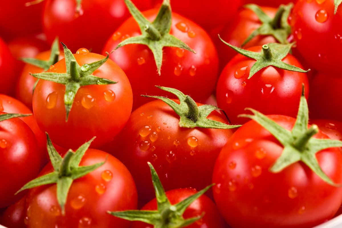 В Астраханской области построят еще один завод по производству томатной пасты