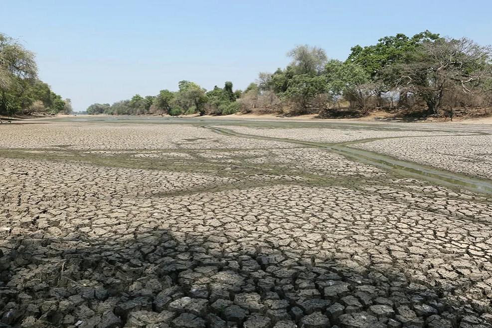Президент Зимбабве объявил в стране национальное бедствие в связи с засухой