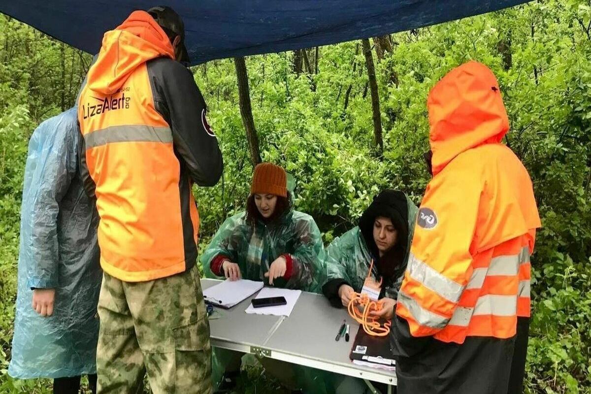 В новосибирский отряд «ЛизаАлерт» с начала года поступило 959 заявок на поиск людей