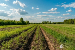 В Удмуртии суд признал незаконной передачу лесных земель в аренду