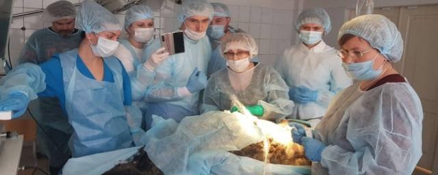 Врачи Уральского НИИ охраны материнства и младенчества  прооперировали беременную овечку
