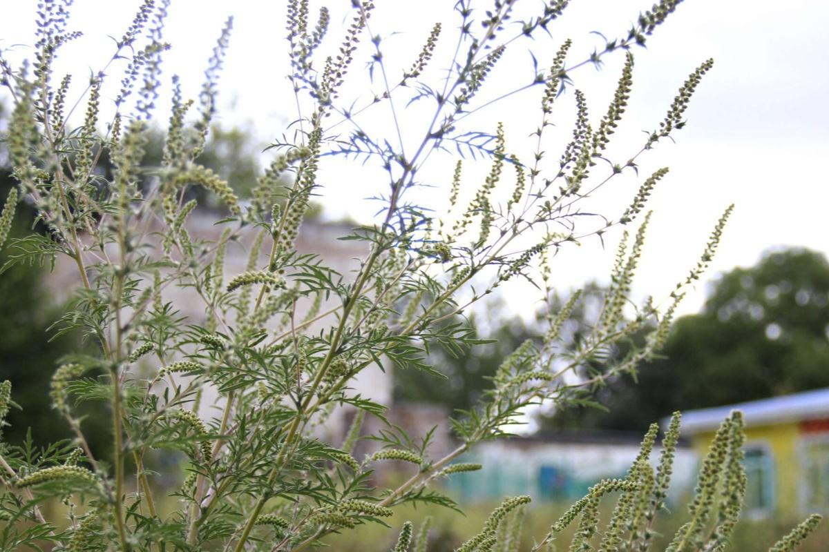 Конфискация неиспользуемого участка земли – будет исключительной, а не обычной мерой