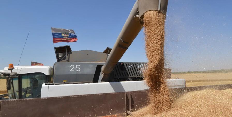 Российское правительство не исключает, что закупки зерна в госфонд могут вырасти более чем втрое