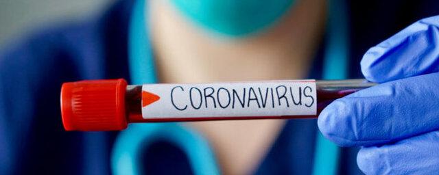 В Ленинградской области выявлен  51 случай коронавируса