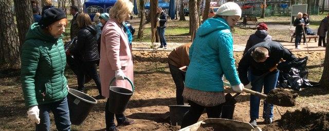 В Иванове в парке Степанова готовят «Сенсорную тропу»