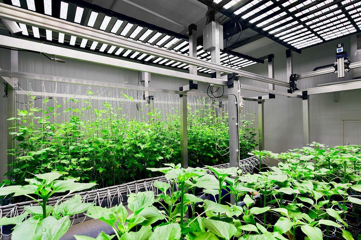 Москва помогает столичным компаниям внедрять инновации в сфере сельского хозяйства