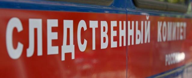 В Стерлитамаке грузовой поезд насмерть сбил мужчину и женщину