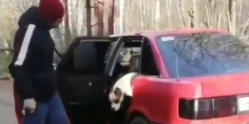 В подмосковных Мытищах задержали мужчину, который натравил собаку на женщину - Видео