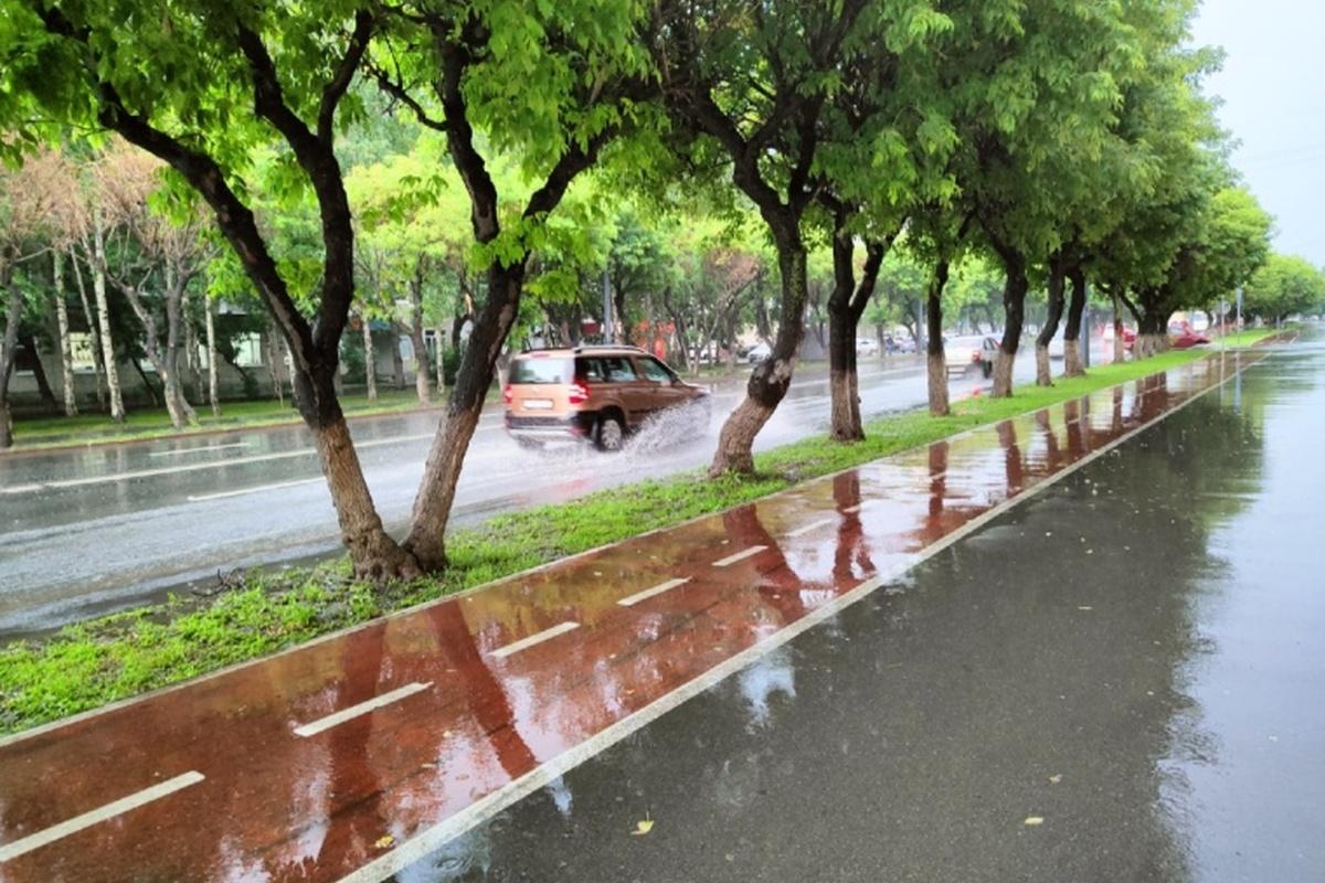 Синоптики предупредили тюменцев о грозах со штормовым ветром 23 апреля