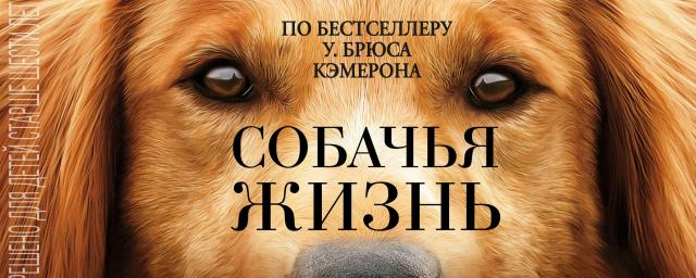 Стало известно, когда выйдет сиквел фильма «Собачья жизнь»