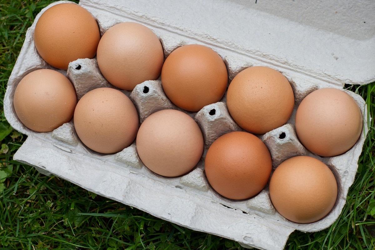 Губернатор НСО Травников рассказал о плавном снижении цен на яйца в Новосибирске, отметив положительную тенденцию в рознице