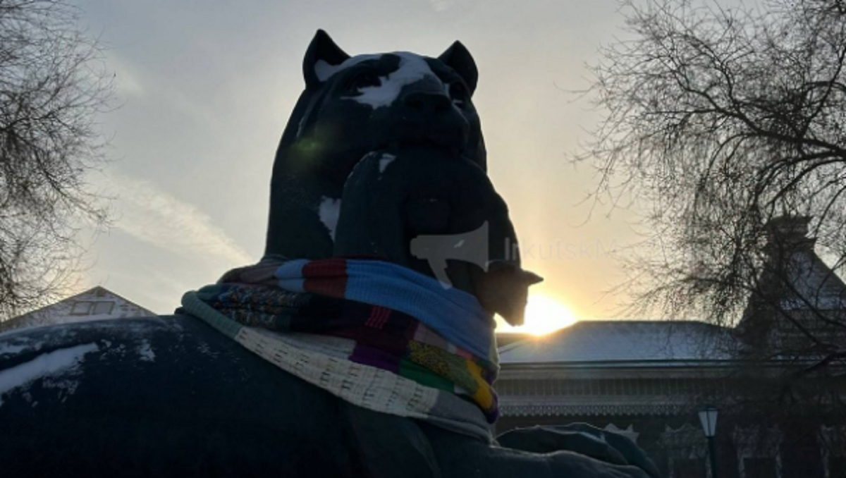 В Иркутске установили личности тех, кто украл шарф у символа города — бабра
