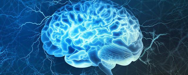 Ученые нашли способ предотвращения гибели мозга