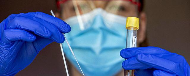 В Новосибирской области подтверждено еще 76 случаев коронавируса