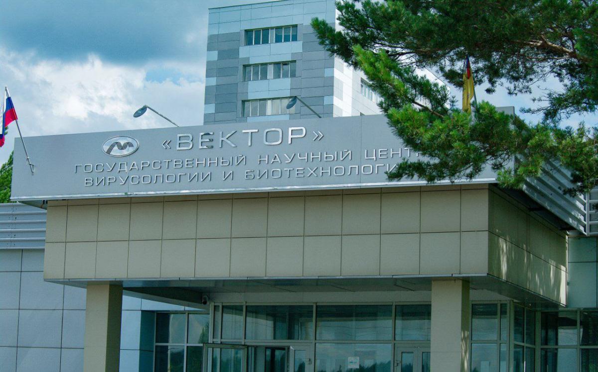 Диагноз первого в России случая лихорадки чикунгунья проверяют в Новосибирске