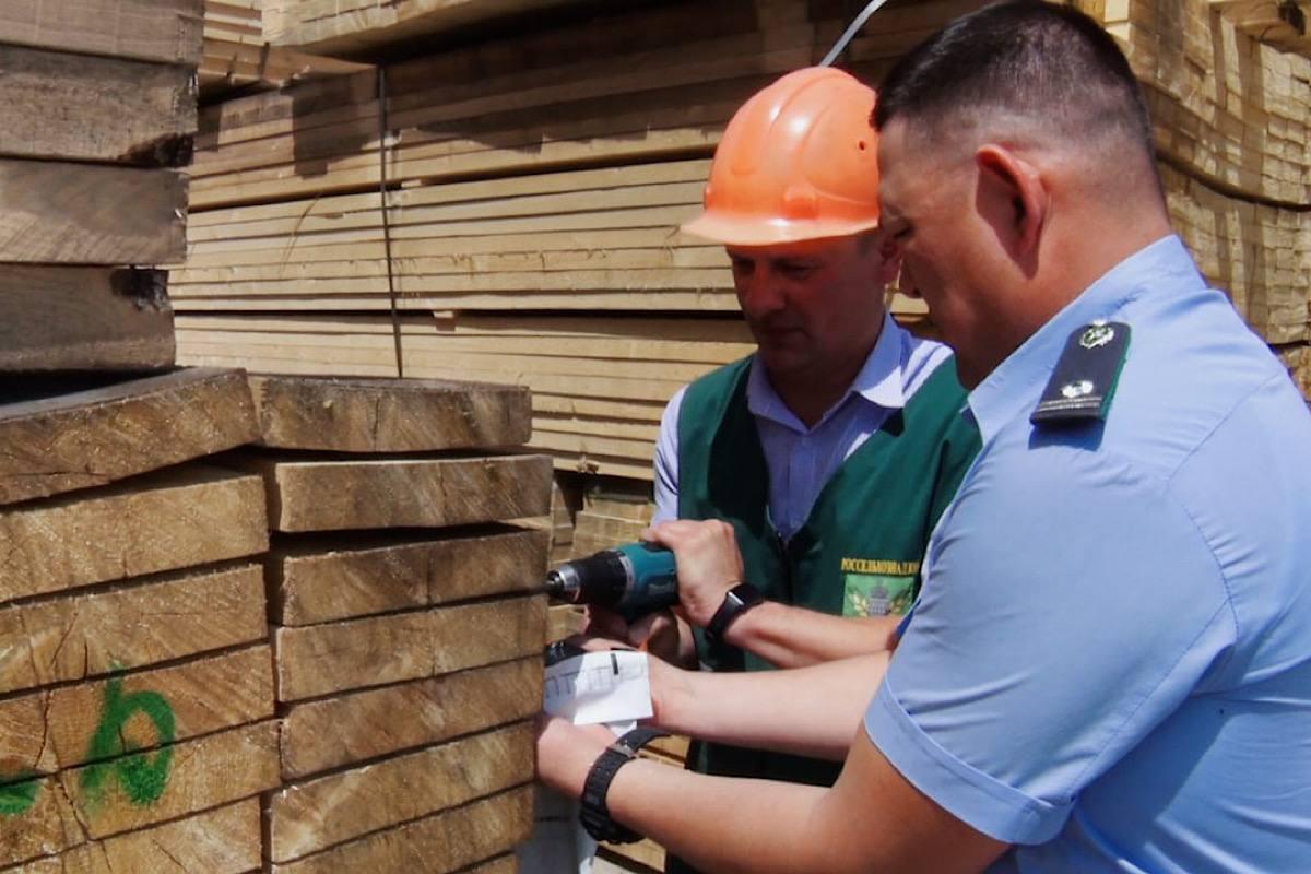 Астраханская область экспортировала 5 тысяч кубометров леса в Иран