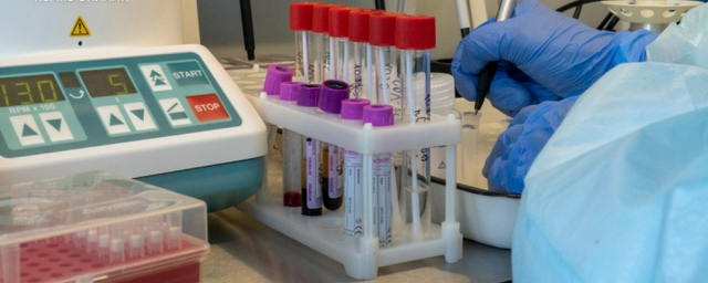 В Архангельске COVID-19 заразились еще 3 медика