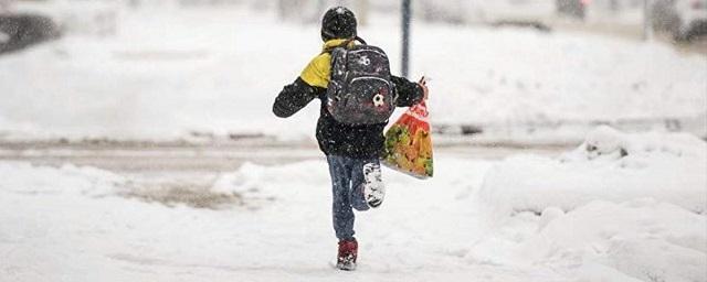 В Нижегородских школах зимние каникулы продлевать не будут