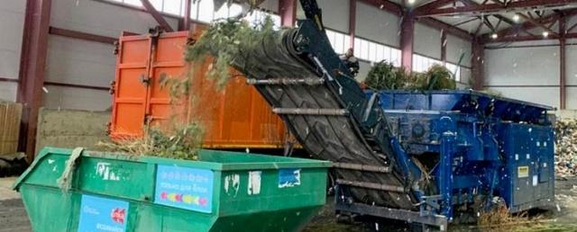 Более 23 тыс елок сдали жители Подмосковья в рамках эко-акции «Подари вторую жизнь своей елке!» - Антон Велиховский