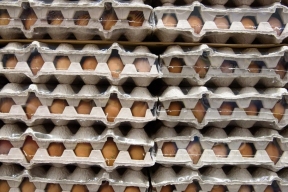 Эксперт Березнюк рассказал, почему в России подешевели куриные яйца