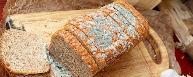 The Sun: Bread with mold is deadly for pregnant women and children