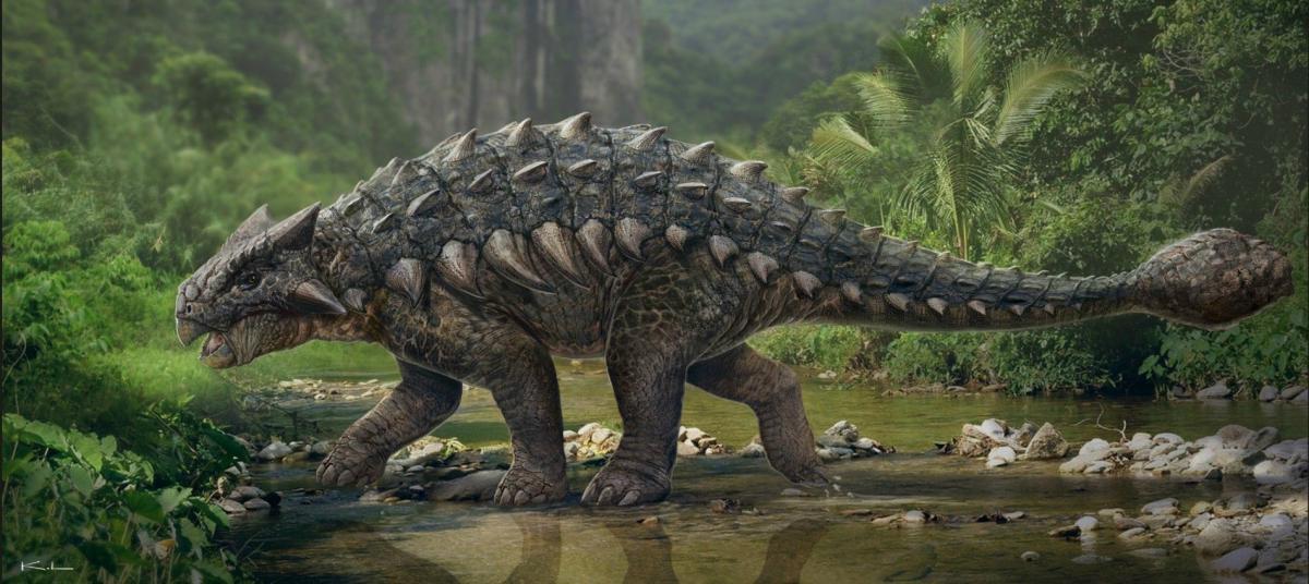 Американские палеонтологи обнаружили новый вид динозавров