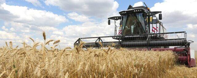 Российские аграрии собрали почти 20 миллионов тонн зерна в ходе уборочной кампании