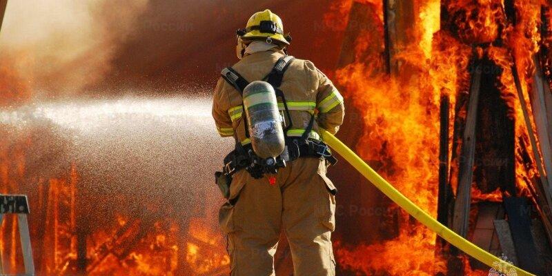 Пожарные Рязанской области ликвидировали 55 возгораний в течение недели, один человек погиб