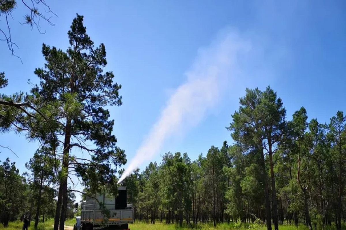 В Волгоградской области ввели ограничение на посещение лесов