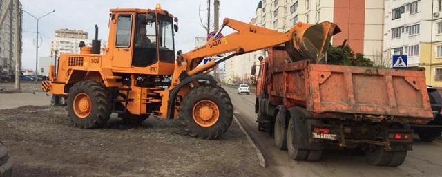 В Липецке расчищено более десяти улиц от незаконных торговых точек