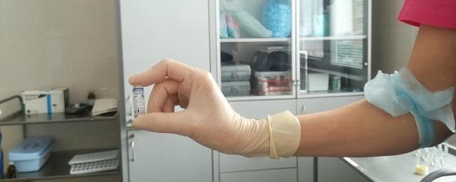 В Чувашию поступило 9600 доз вакцины «Спутник V»